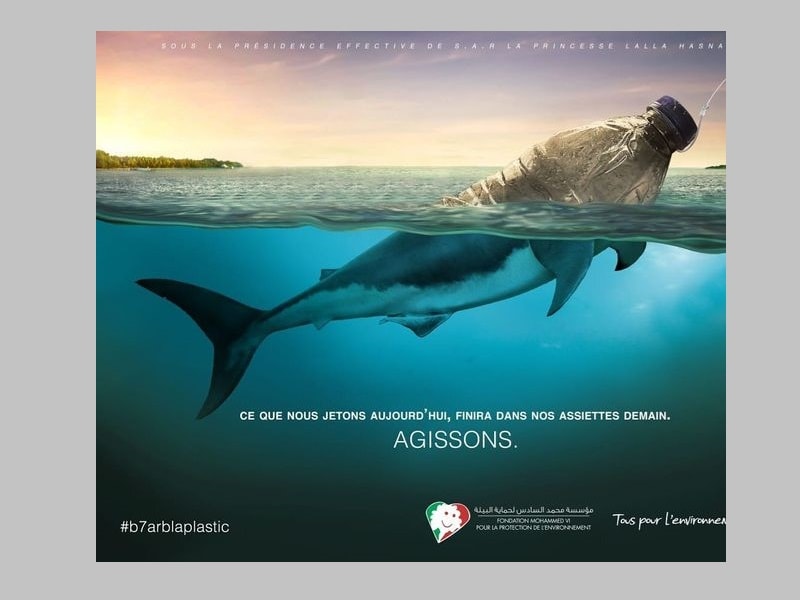 mẫu poster tuyên truyền bảo vệ môi trường