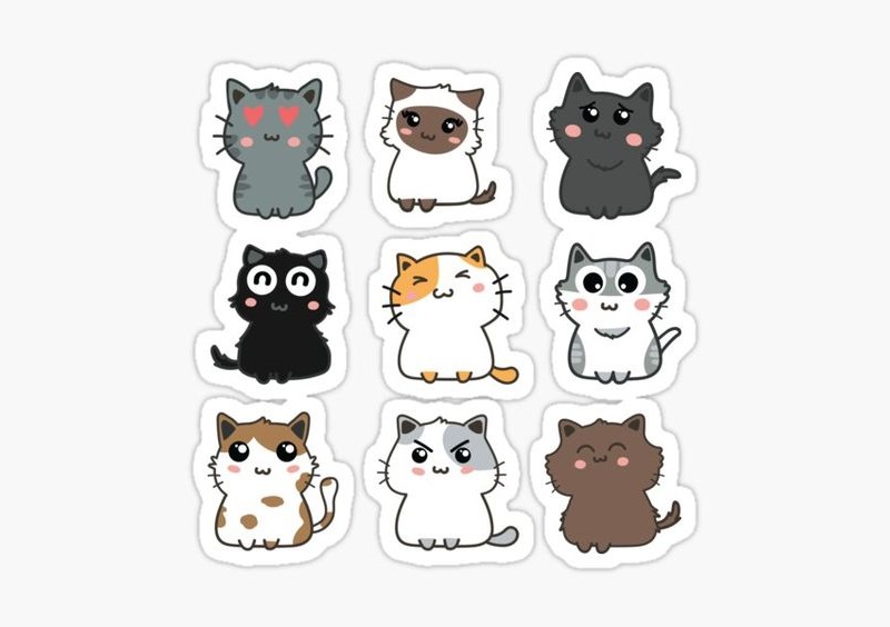 mẫu sticker con mèo
