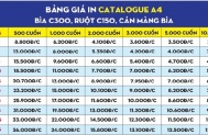 Bảng Giá In Catalogue